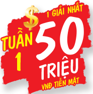 Tuần 1