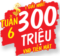 Tuần 6