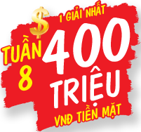 Tuần 8